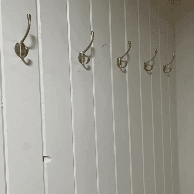 Brass Brushed Classic Brass Hat & Coat Hook - Stylentdecor