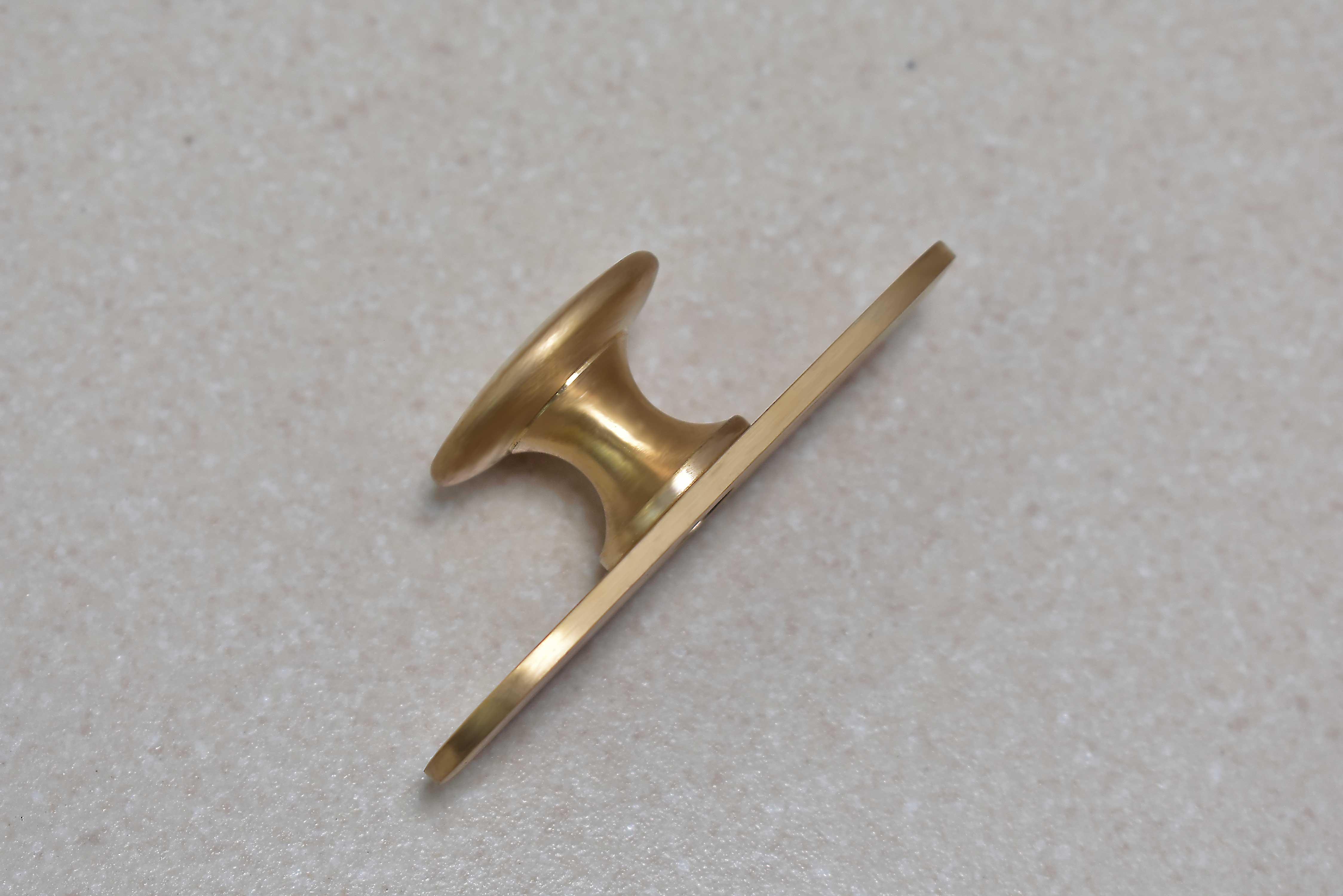 Brass Brushed Drawer Knob with Round Backplate - Stylentdecor